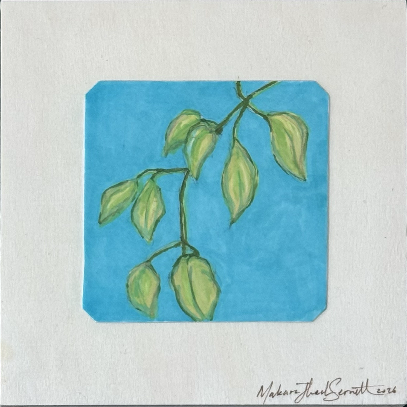 Leaves - Short n' Sweet Collection