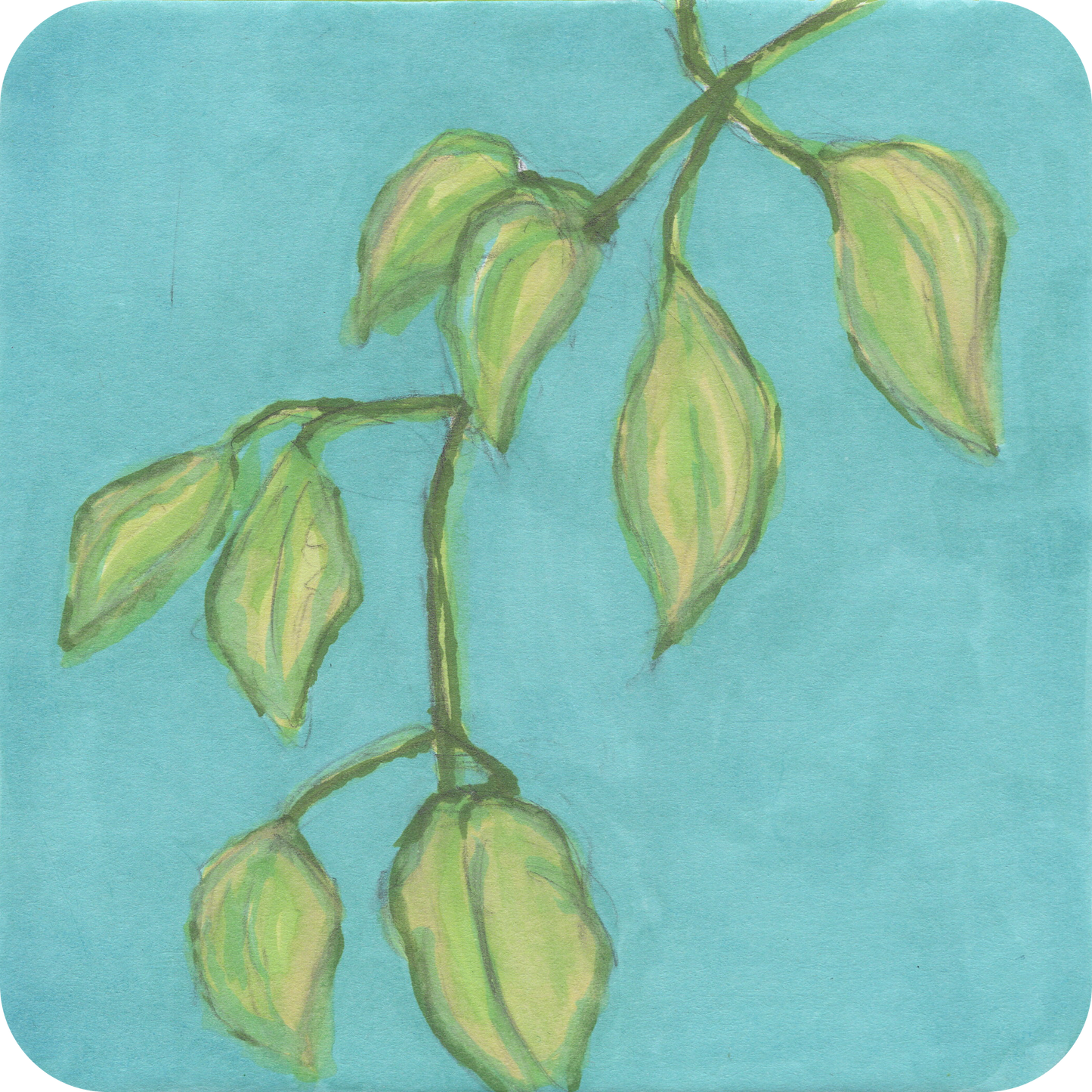 Leaves - Short n' Sweet Collection