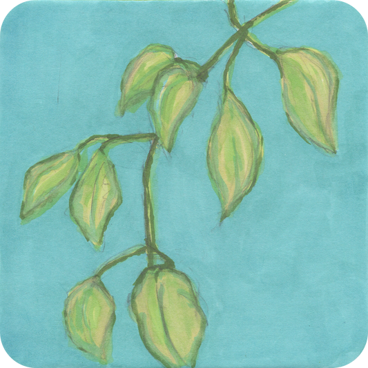 Leaves - Short n' Sweet Collection