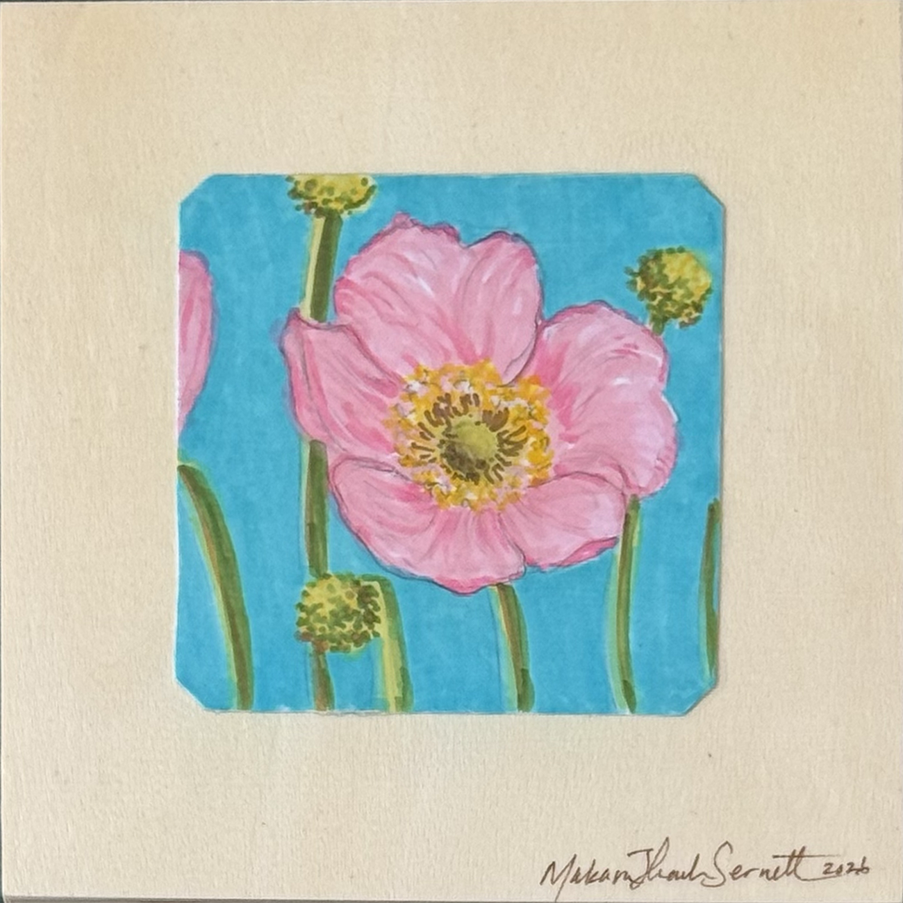 Pink Poppies - Short n' Sweet Collection