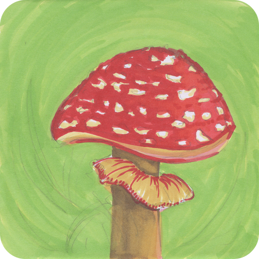 Red - Short n' Sweet Collection