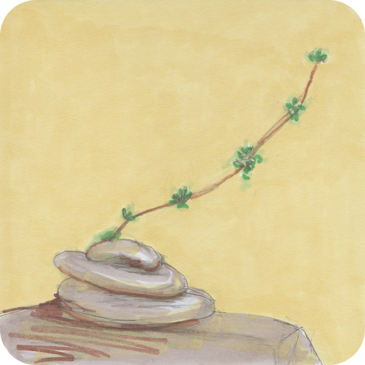 Stones - Short n' Sweet Collection