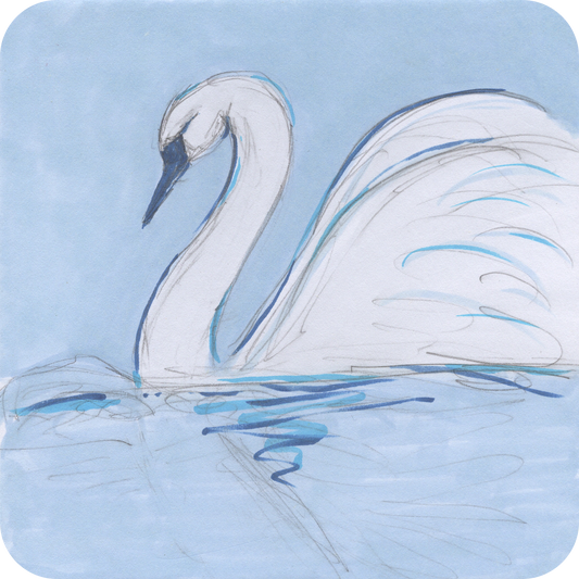 Swan - Short n' Sweet Collection