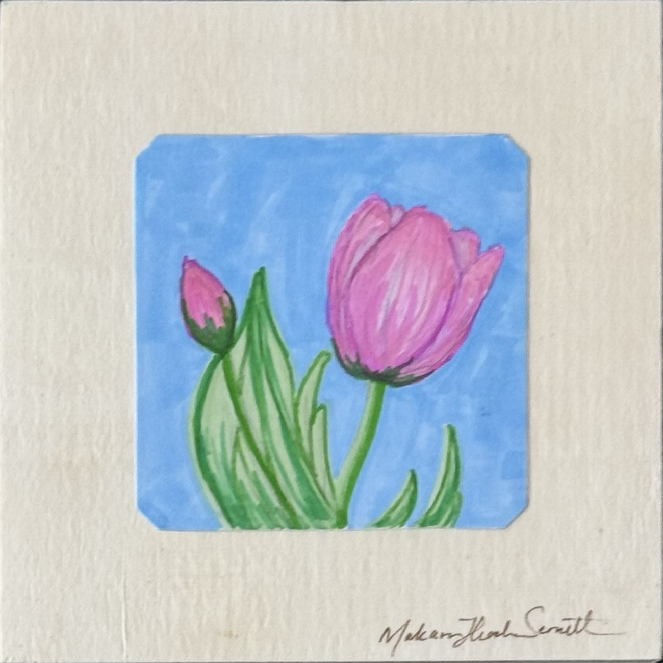 Tulips - Short n' Sweet Collection